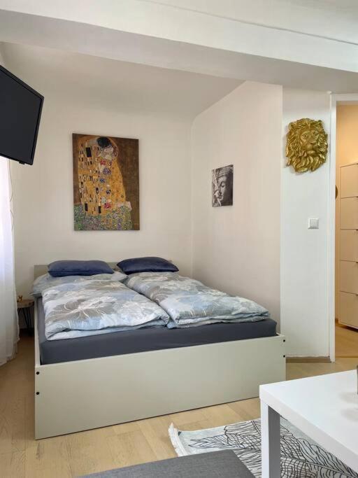 Milena Apartment Γκρατς Εξωτερικό φωτογραφία