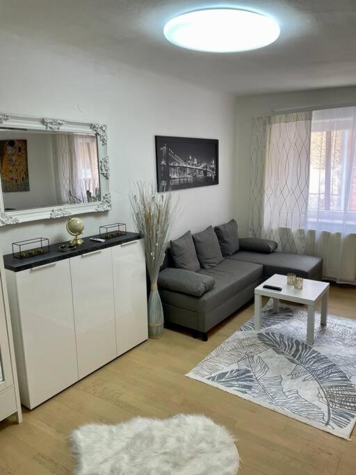 Milena Apartment Γκρατς Εξωτερικό φωτογραφία