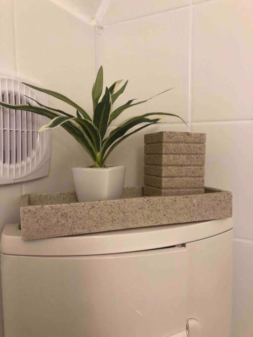 Milena Apartment Γκρατς Εξωτερικό φωτογραφία